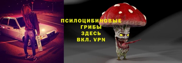 прущие крисы Алексеевка