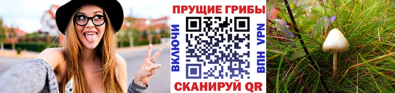 Псилоцибиновые грибы GOLDEN TEACHER  mega зеркало  Каргат 